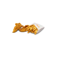 2 Piece chicken & Fries