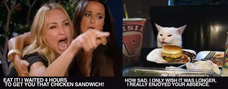 On the left, a woman angrily points while another holds her back, exclaiming about a chicken sandwich. On the right, a cat sits at a table with food, looking unimpressed.
